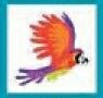 Bird Stock Temporary Tattoo - Flying Macaw (1.5"X1.5")