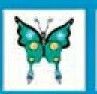 Stock Temporary Tattoo - Spotted Green Swallowtail Butterfly (1.5"X1.5")