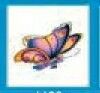 Stock Temporary Tattoo - Pastel Striped Butterfly (1.5"X1.5")
