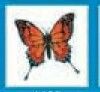 Stock Temporary Tattoo - Red/ Orange Monarch Butterfly (1.5"X1.5")