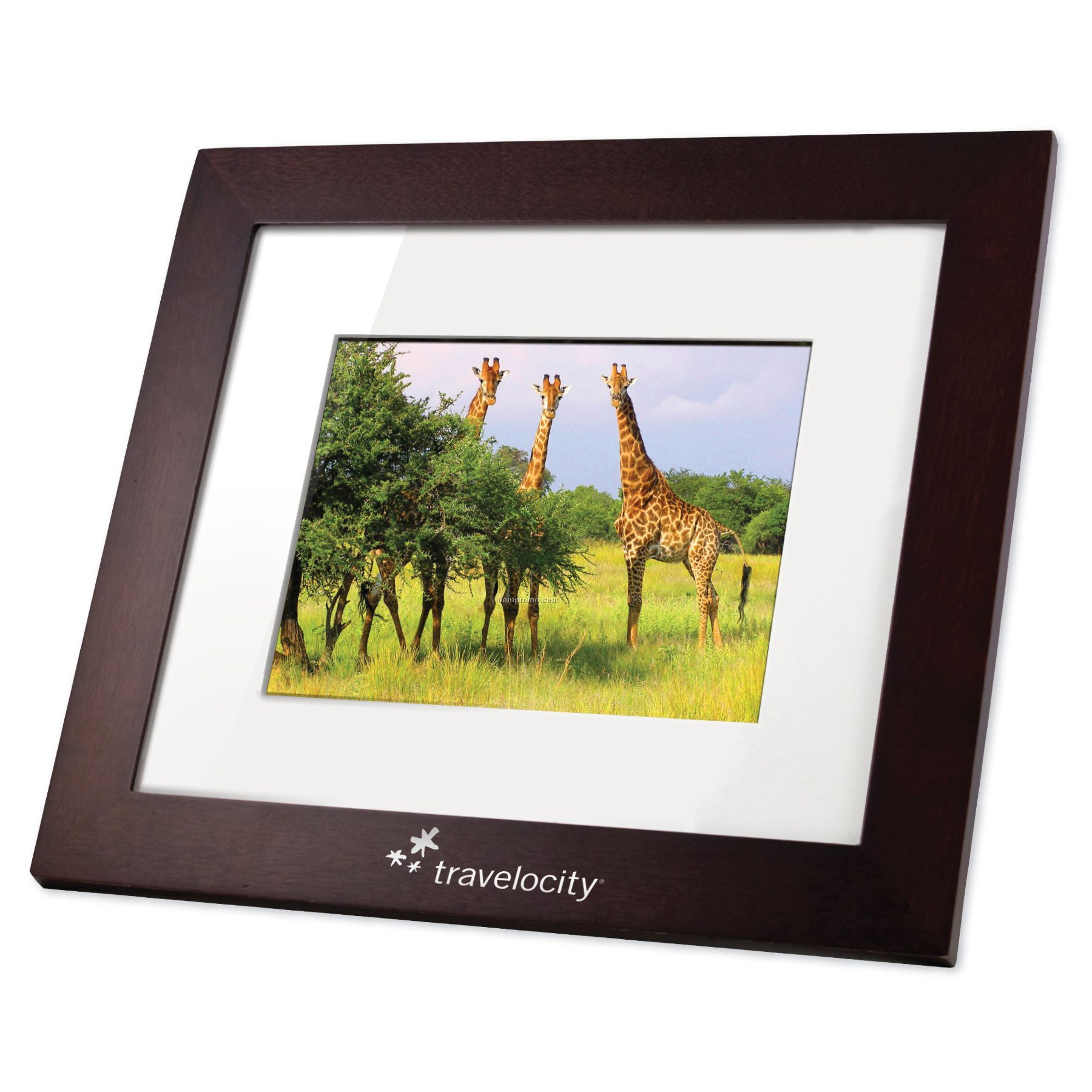 Photostar Digital Frames By Pandigital - 8 Inch