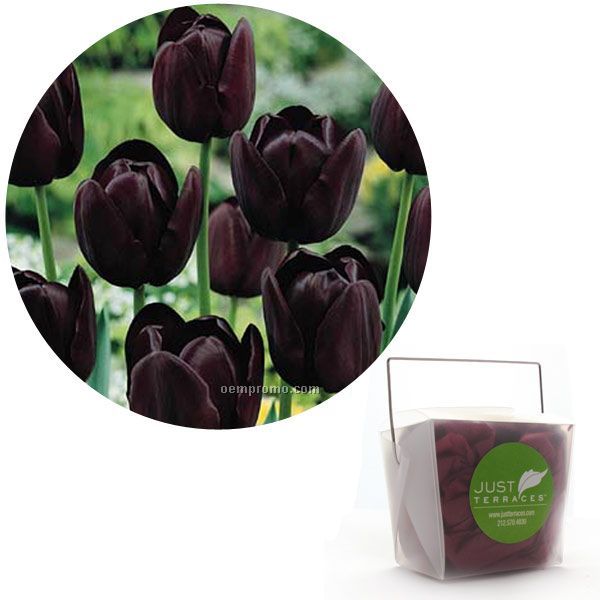 5 Tulip Bulbs In Take Out Box With Custom 4-color Label