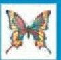 Stock Temporary Tattoo - Pastel Butterfly W/ Yellow Edge (1.5"X1.5")