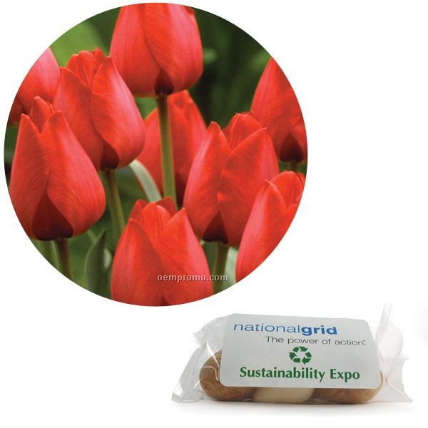 Single Tulip Bulb In A Poly Bag With Custom 4-color Label
