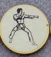 Medallions Stock Kromafusion Pin With Insert - Karate (Xl)