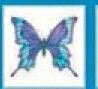 Stock Temporary Tattoo - Faded Purple Butterfly W/ Blue Edge (1.5"X1.5")