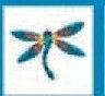Stock Temporary Tattoo - Teal Green Dragonfly 2 (1.5"X1.5")
