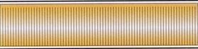 60' Gold Metallic Hula Streamer