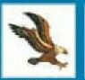 Bird Stock Temporary Tattoo - Descending Eagle (1.5"X1.5")