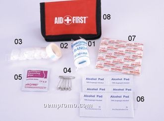 Portable First Aid Kit W/ Nylon Case