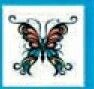 Stock Temporary Tattoo - Tribal Ribbon Butterfly 15 (1.5"X1.5")
