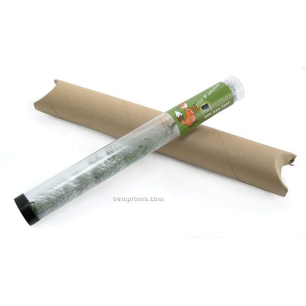 Blue Spruce Tree Seedling In Clear Tube, Cardboard Mailer W/4 Color Label