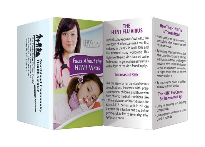 Key Point Brochure - Facts About The H1n1 Virus