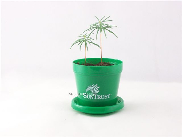 Douglas Fir Mini Logo Planter Tree Kit (1 Color Imprint)