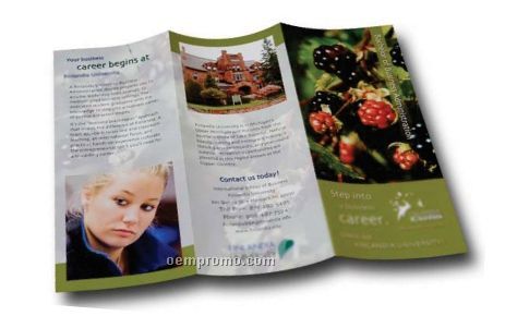 Marketer 6 Page Brochure W/ 80# Gloss Text