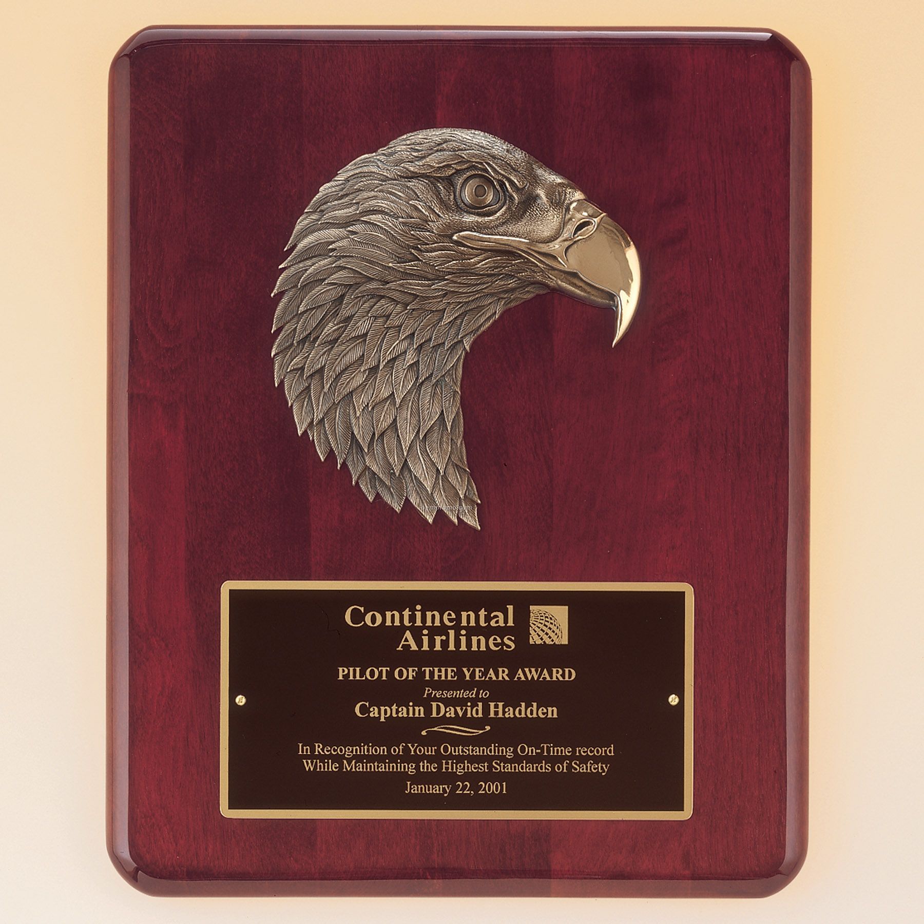 Finely Detailed Eagle Casting W/Antique Bronze Finish