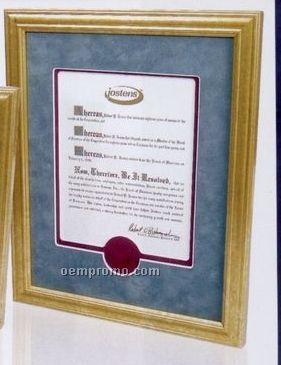 11"X14" Mdf Certificate Frame W/ Marbled Gold Wrap & No Matboard