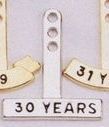 Stock Rectangle Year Tabs - 30 Year
