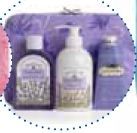 Lavender Essentials