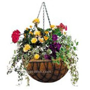 Hang Basket
