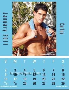 Male Call Press-n-stick Calendar (Thru 08/01/2011)