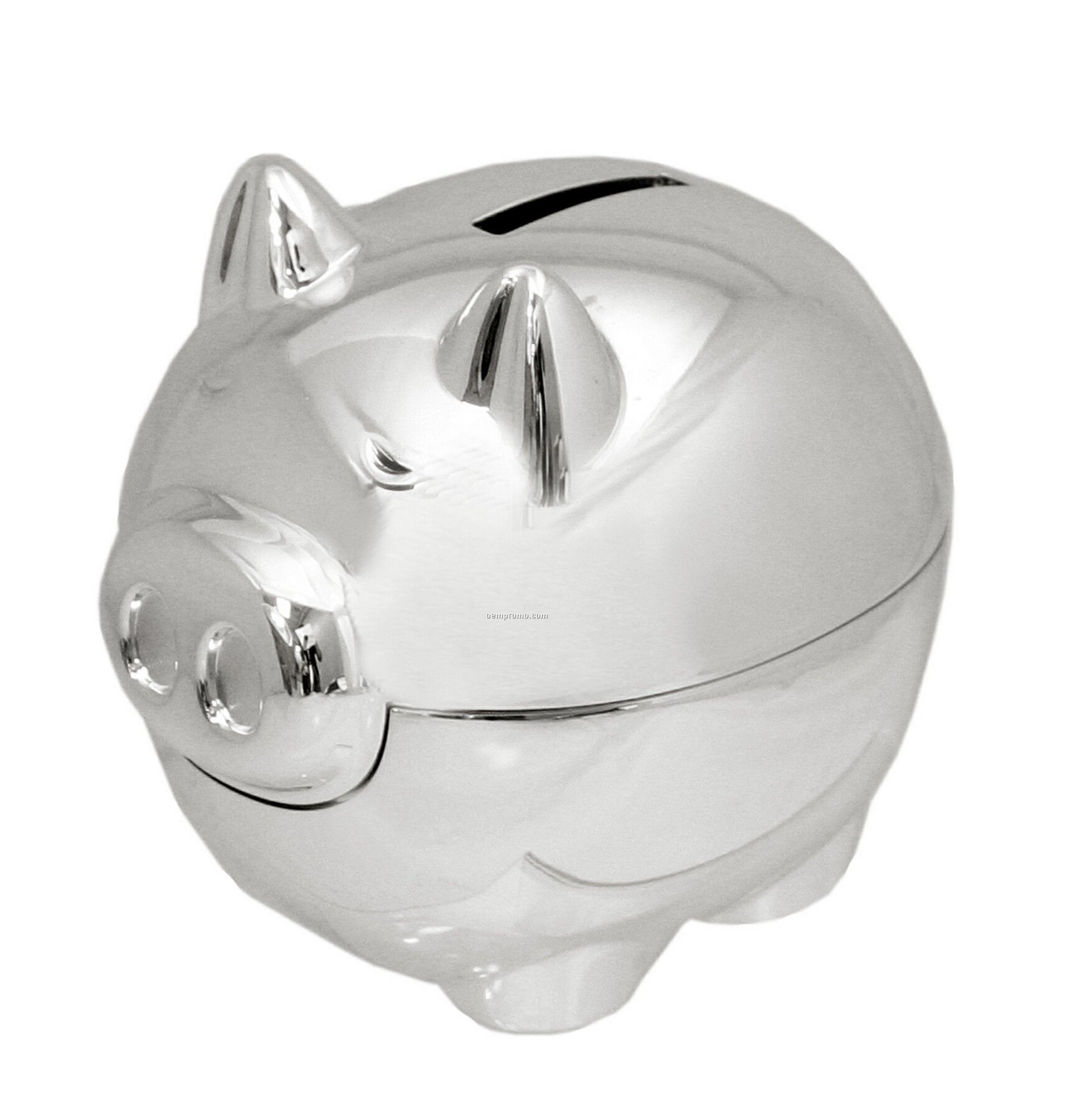 Silver Piggy Bank