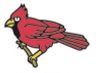 Stock Perched Cardinal Mascot Card005