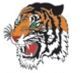 Stock Left Profile Tiger Mascot Cats002