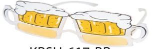 Beer Mug Sunglasses