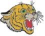 Stock Right Profile Tiger Mascot Cats003