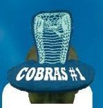 Foam Cobra Pop Up Visor