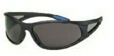 Erban Black Frame Safety Glasses W/ Rubber Temple Inserts