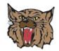 Stock Brown Lynx Mascot Cats009