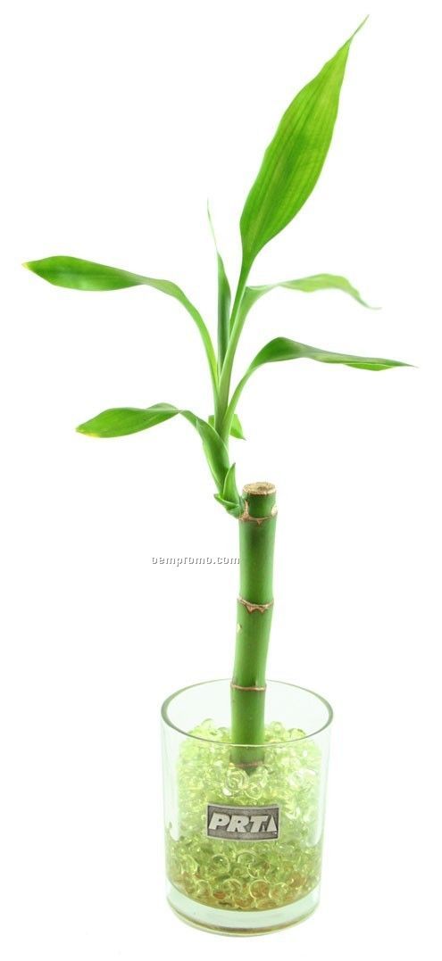 Antique Pewter Logo Add-on For Lucky Bamboo Vase