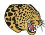 Stock Leopard Mascot Cats011