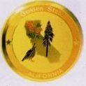 California State Emblem And Lapel Pin