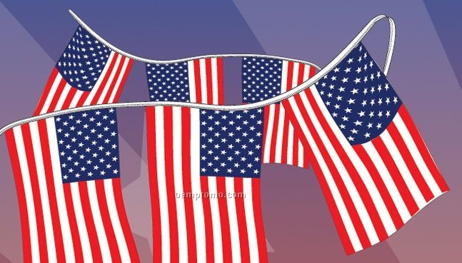 60 Ft. American Stars & Stripes Supreme Cloth Flag Pennant (12"X18")