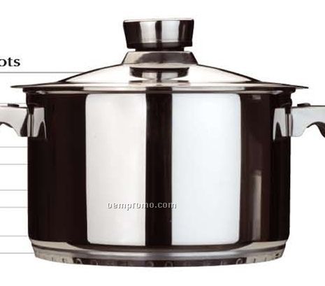 Orion Covered Stockpot (10")