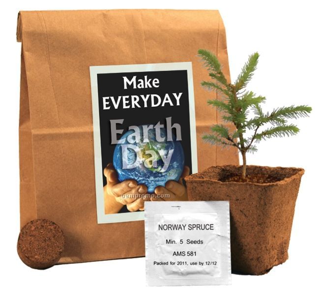 Fcd Northern Spruce Tree In A Bag