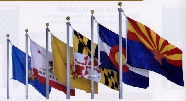 Endura Gloss Mounted Flags With Fringe (50 States) (4"X6")