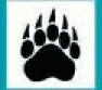 Sports & Mascots Stock Temporary Tattoo - 5 Toe Black Claw Paw (1.5