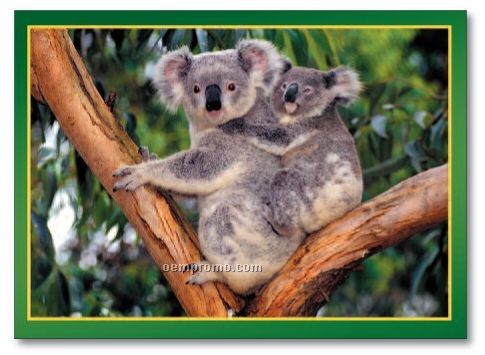 Friendly Koalas Greeting Card Calendar (After 9/1/11)