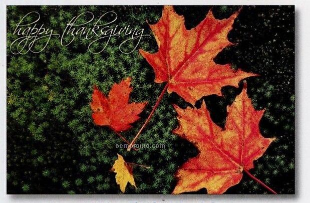 Thanksgiving Color Special Occasion Cards (After 9/1/11)