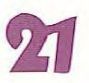 Mylar Shapes Number 21 (5")