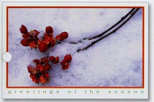Winter's Beauty Greeting Card (Unimprinted)