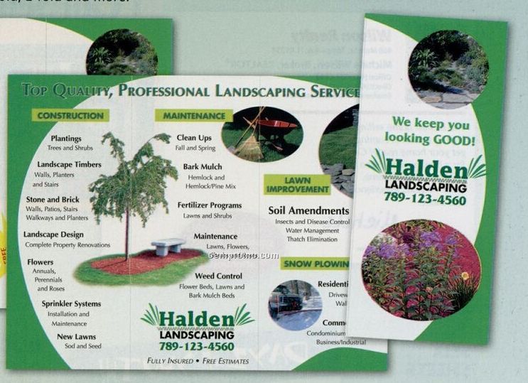 Full Color Brochure
