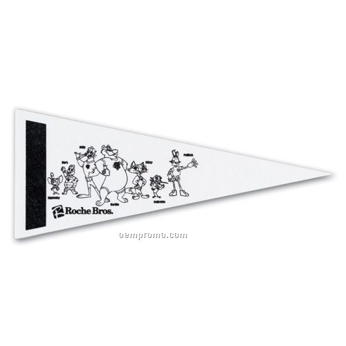 4" X 10" Color Me Pennant W/Screened Strip