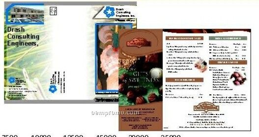 8-1/2"X11" Brochures Gloss Text (4 Color Front / 1 Color Back)