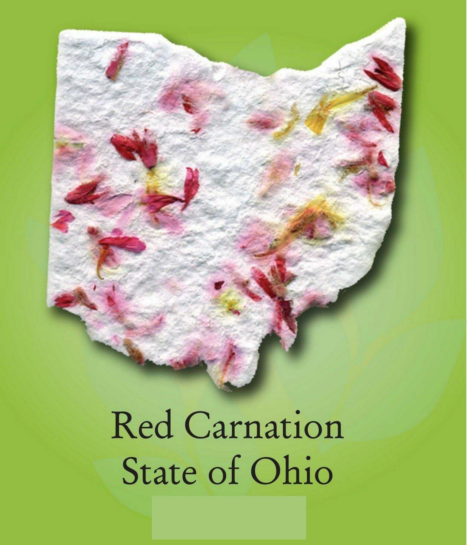 Red Carnation State Of Ohio Ornament With Embedded Seed
