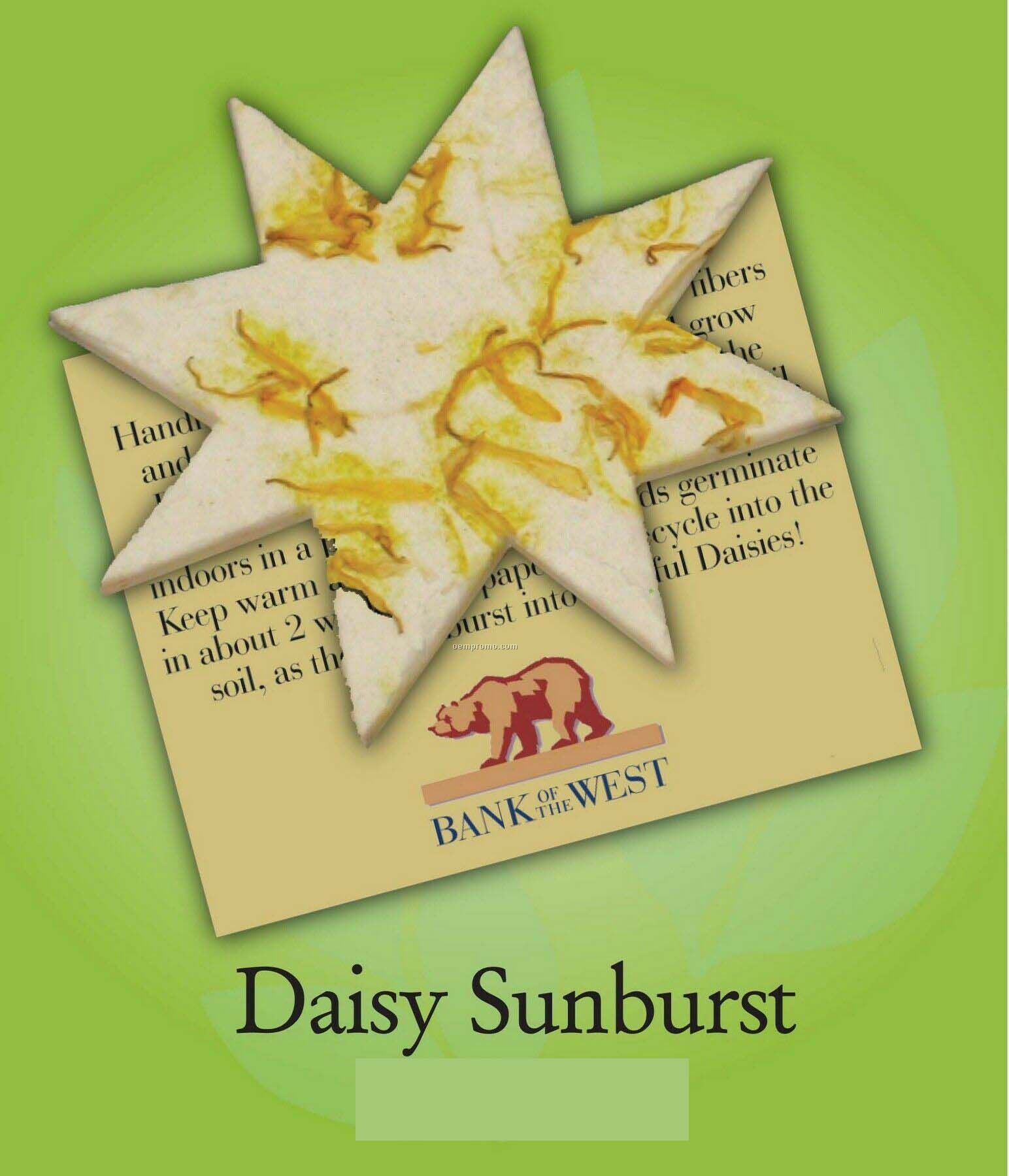 Daisy Sunburst Ornament With Embedded Seed